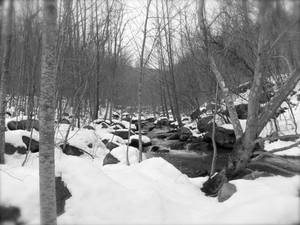 Virginia Mountains B/W 1