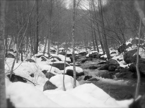 Virginia Mountains B/W 2