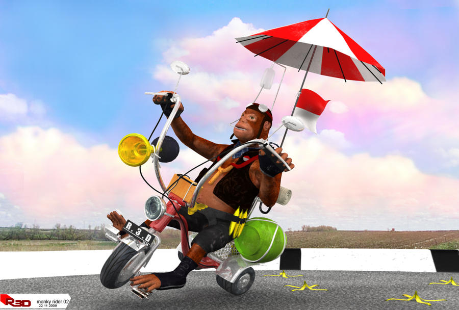 monkey rider_3rd place by ruri3d on DeviantArt