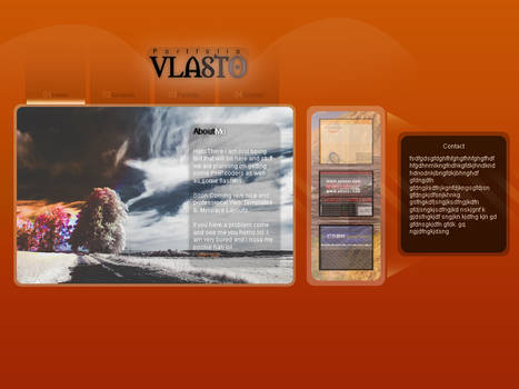 Vlasto Portfolio