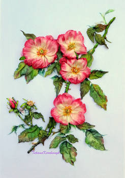 Rosehip, silk ribbon embroidery