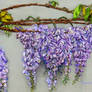 Wisteria blooming, ribbon embroidery picture.