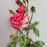 My new rose,silk ribbon embroidery