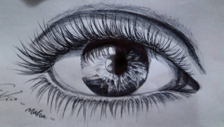   eye..ballpoint pen .