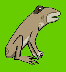 Sharra as a Frog