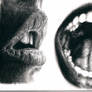 Mouth IV