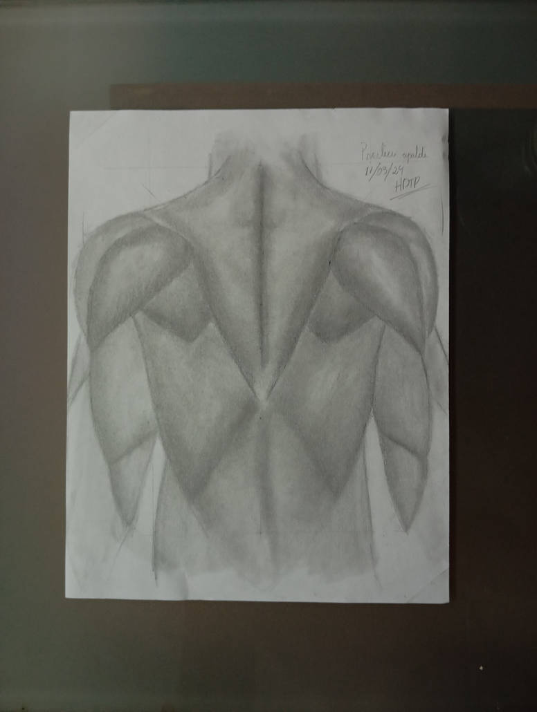 Back excersice anatomy of back by hugoteran9 on DeviantArt