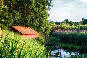 Old pump house