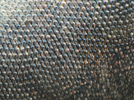 Komodo Dragon Skin Texture IV