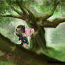 Shadamy forest