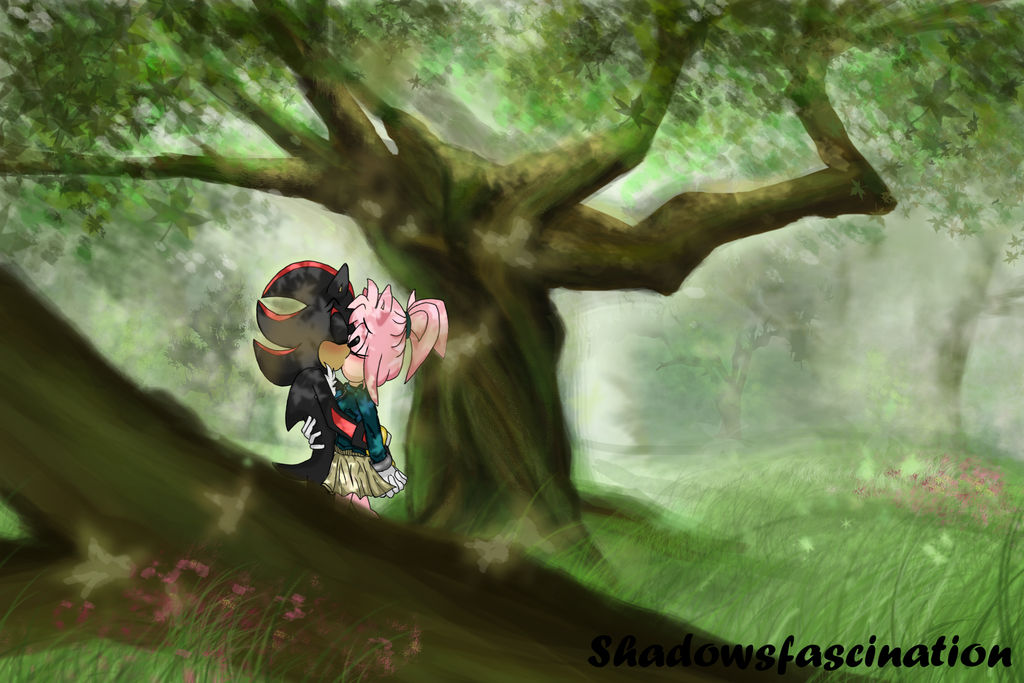 Shadamy forest