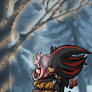 Shadamy winter 2O2O