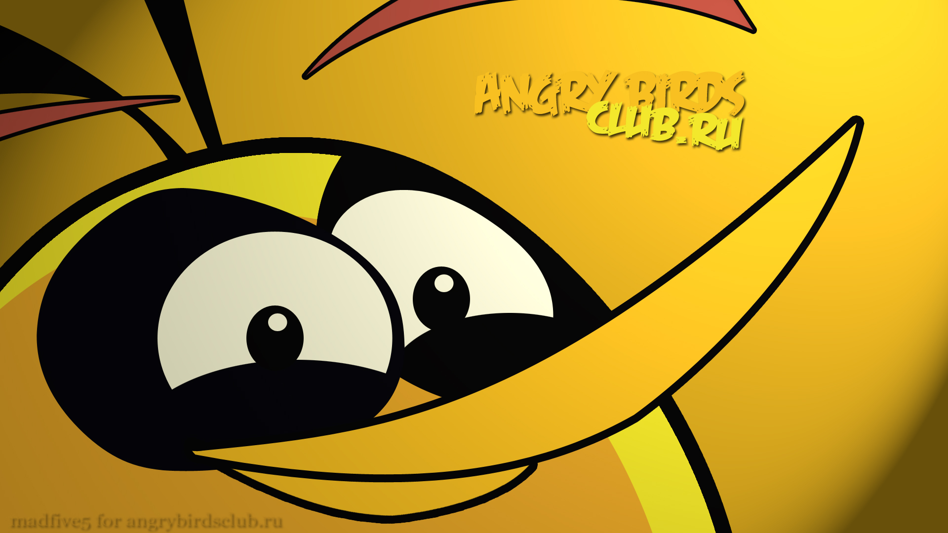 Angry Birds Wallpaper:Orange Bird