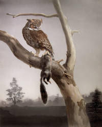 Owl and Prey