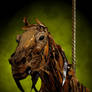 Black Carousel