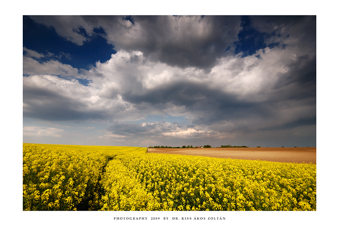 The fields of Topona'r - I