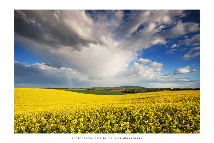 Rainbow Country - I