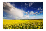 Rainbow Country - III by DimensionSeven