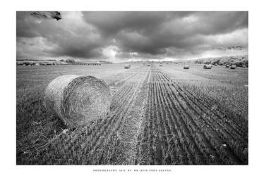 Straw bale study - II