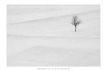 Fifteen Feet of Pure White Snow by DimensionSeven