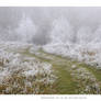 Frosty pathway