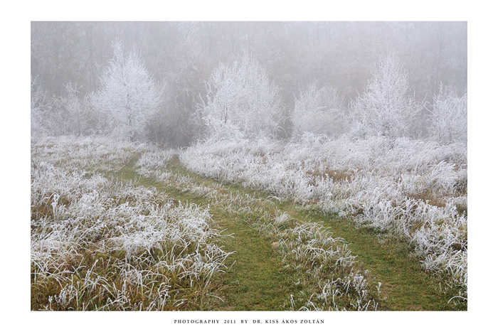 Frosty pathway