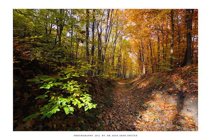 Autumn in To'kaj - II