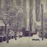 Street of Snow