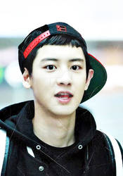 Park Chanyeol - members of EXO