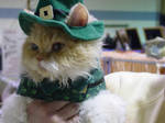Leprechaun Kitty by TheNiteWind