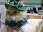 Leprechaun Kitty by TheNiteWind