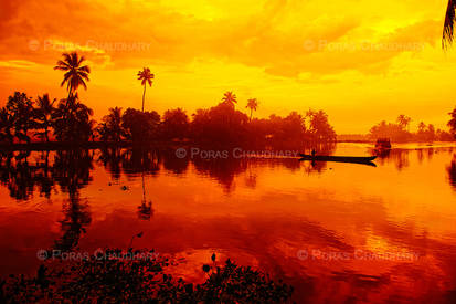 The Backwaters, Kerala