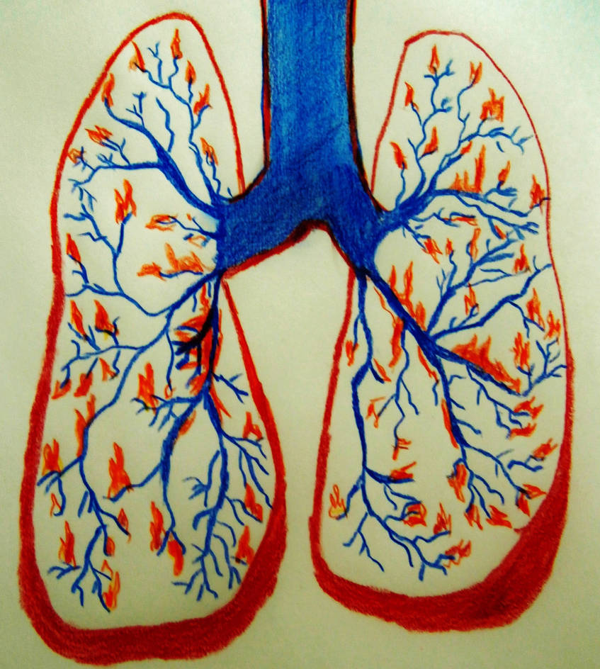 Breath Fire By FireLady3 On DeviantArt breath-fire-by-firelady3-on-deviantart