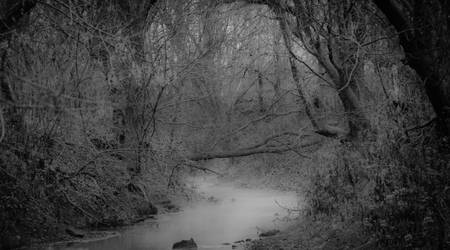 hots riverside looking up creek I