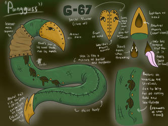 Pungguss Ref Sheet 2021 (Final)