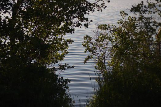 Lake Side Opening