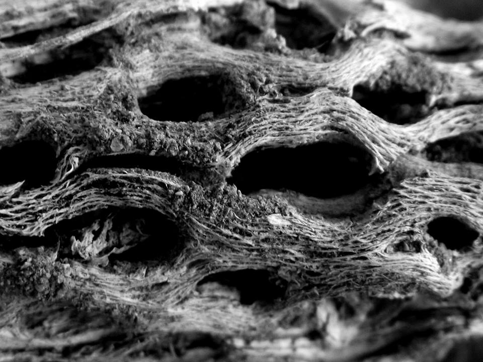 Bizarre Textures Strange Textures by CapturedMomentum on DeviantArt