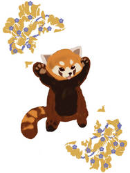 Kawaii Red Panda