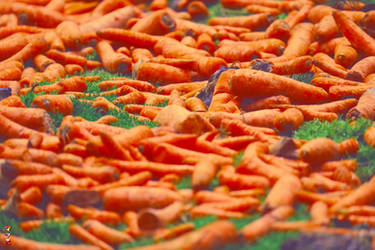 Carrot Hill