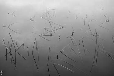 Mirrored Surface