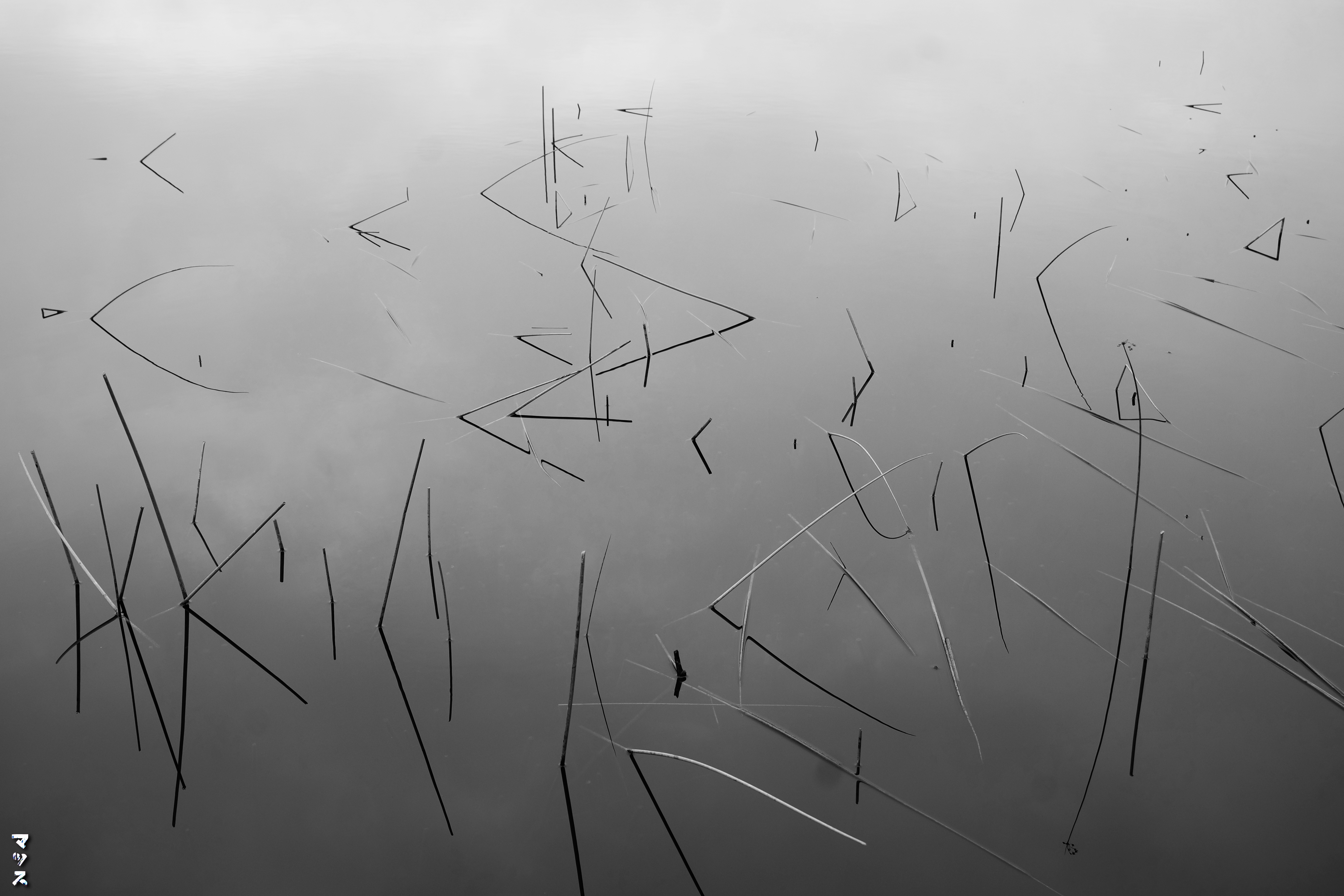 Mirrored Surface