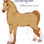 Beatenpath - Morab Stallion