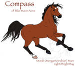 Compass - Morab Mare by lantairvlea