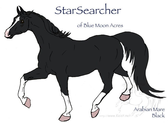 StarSearcher - Arabian Mare