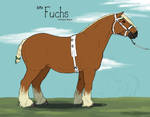 BMa Fuchs- Halter Entry by lantairvlea