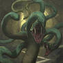 Hydra