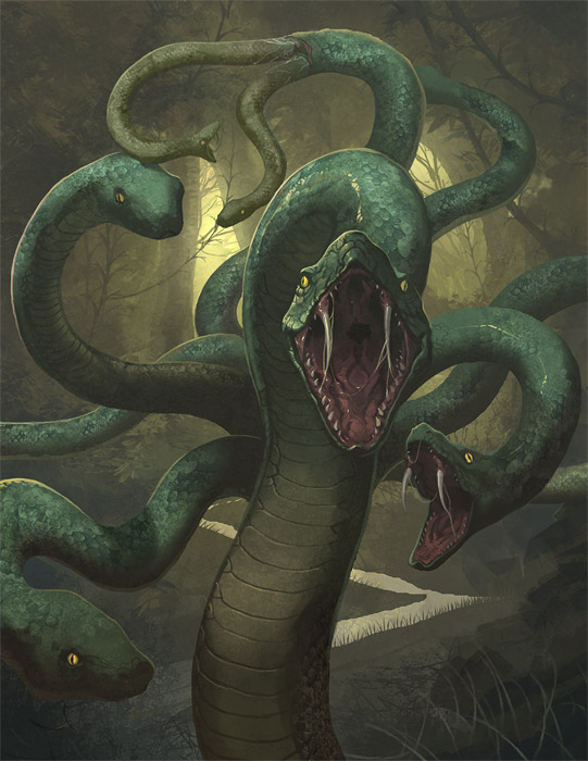 Hydra