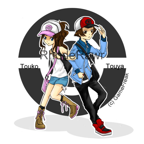 Pokemon:  Black and White