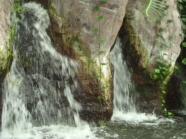 Rainforest Waterfall by nicole32580 on DeviantArt
