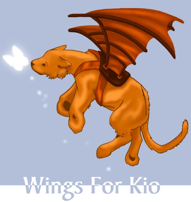 Wings for Kio